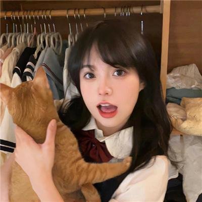 妙探双龙